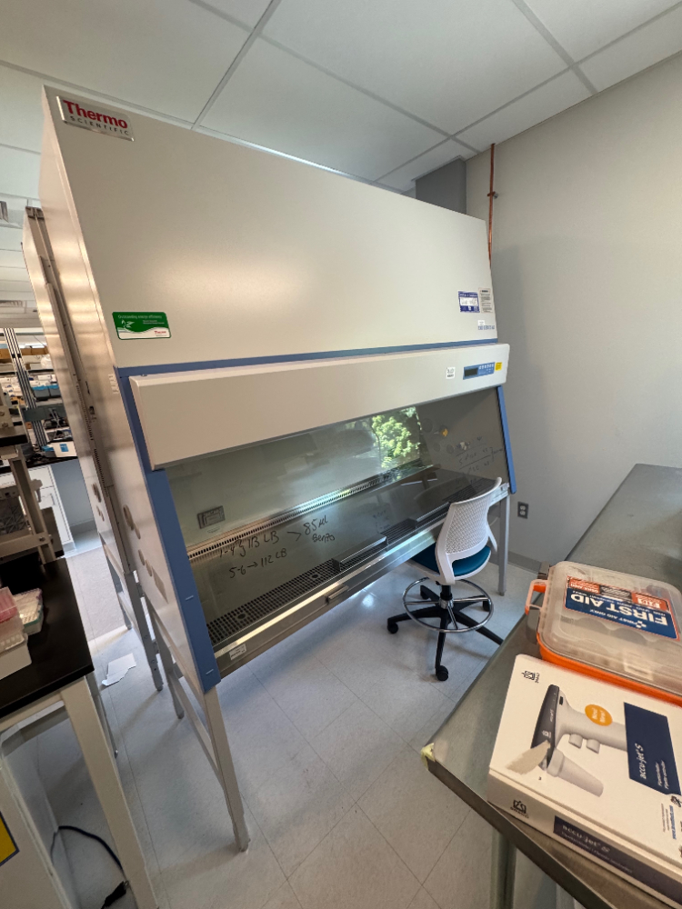 Image of Thermo 1300 Series A2 6' BioSafety Cabinet